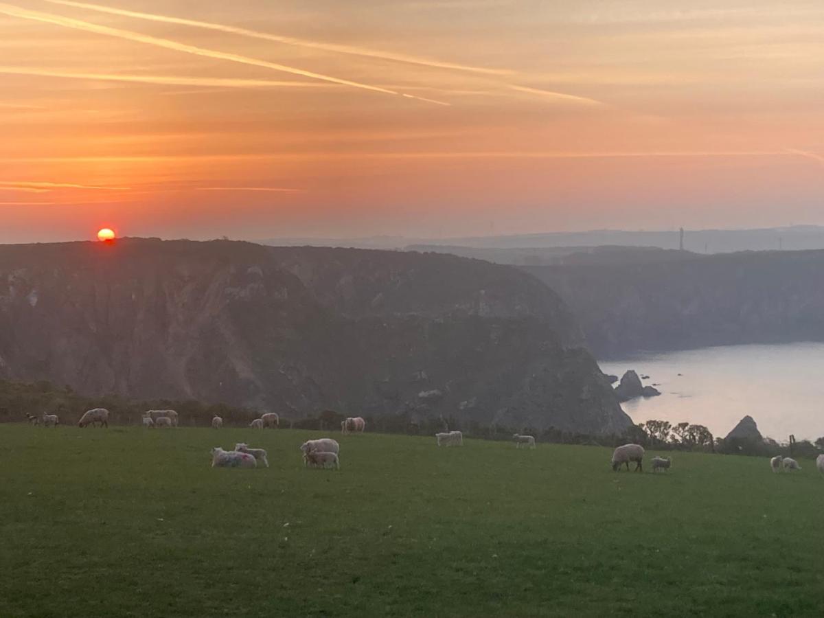 Hôtel Coast Path Camping à Haverfordwest Extérieur photo